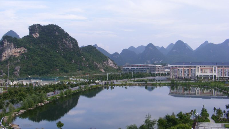继电器寿命之谜：揭秘影响其耐久性的关键因素**