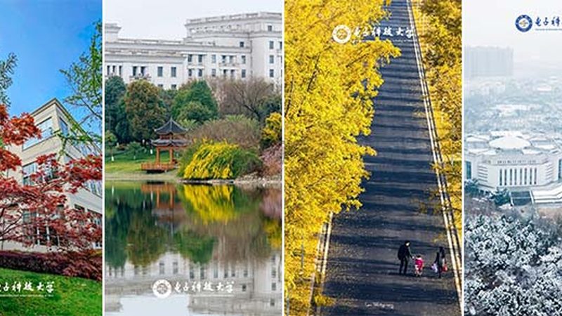 电子模块批发价格，如何精准把握性价比？**