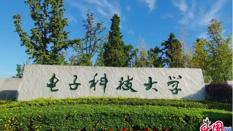电解电容在电子电路中的应用与选择要点**